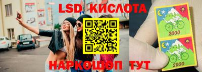 эйфоретик Тара