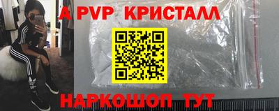 эйфоретик Тара