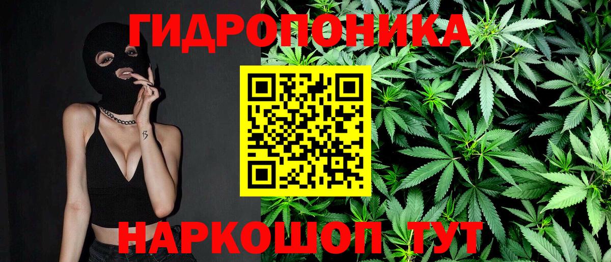Бошки Шишки индика  Канабис MAZAR  Каннабис AK-47  Муром  Конопля марихуана  Вход с VPN 